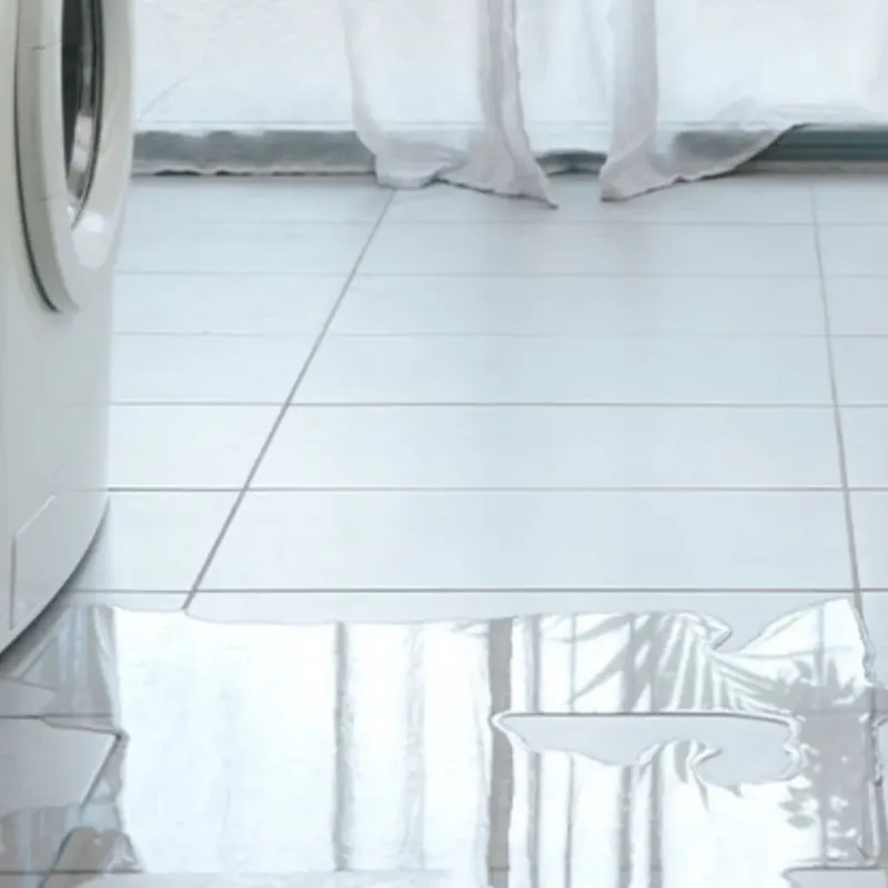 Appliance Leak Cleanup in Sullivans Island, SC